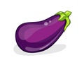 Eggplant. One fresh eggplant isolated on white. Aubergine. Vector illustration. Royalty Free Stock Photo