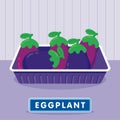 Eggplant on the plastic food packaging tray wrapped with polyethylene. Vector illustration Royalty Free Stock Photo