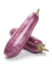 Eggplant purple