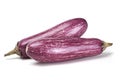 Eggplant purple