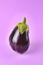 Eggplant on a purple background, fresh juicy vegetable on a colored background, selective focus, close-up