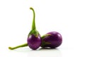 Eggplant purple, fresh isolared on white background