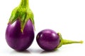 Eggplant purple fresh isolared on white background