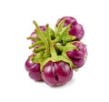 Eggplant purple vegetable isolated on white background.