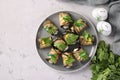 Eggplant rolls with garlic and cream cheese on a plate on a light gray background, Copy space, Top view Royalty Free Stock Photo