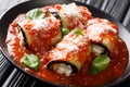 Eggplant rolls stuffed with ricotta and baked in tomato sauce and served with parmesan and basil close-up in a plate. horizontal Royalty Free Stock Photo