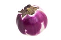 Eggplant Rosa Bianca Royalty Free Stock Photo