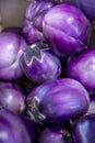 Eggplant Rosa Bianca Royalty Free Stock Photo