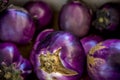 Eggplant Rosa Bianca Royalty Free Stock Photo