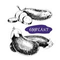 Eggplant