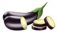 Eggplant isolated on a white background. Whole, slice, half of fresh aubergine. Vector 3D realistic, ingredients for salad