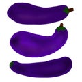 Eggplant set painting Royalty Free Stock Photo