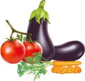 Eggplant Tomato Carrot