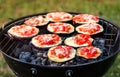 Eggplant with tomato and parmesan cheese on BBQ vegan grill.