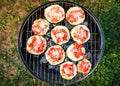 Eggplant with tomato and parmesan cheese on BBQ vegan grill.