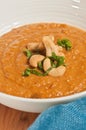 Eggplant and tomato soup in a deep, white bowl with cashew nuts and basel strips, paleo diet Royalty Free Stock Photo