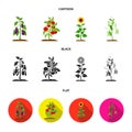 Eggplant, tomato, sunflower and peas.Plant set collection icons in cartoon,black,flat style vector symbol stock Royalty Free Stock Photo