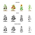 Eggplant, tomato, sunflower and peas.Plant set collection icons in cartoon,black,monochrome style vector symbol stock Royalty Free Stock Photo