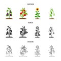 Eggplant, tomato, sunflower and peas.Plant set collection icons in cartoon,black,outline style vector symbol stock Royalty Free Stock Photo