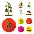 Eggplant, tomato, sunflower and peas.Plant set collection icons in cartoon,flat style vector symbol stock illustration Royalty Free Stock Photo