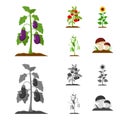 Eggplant, tomato, sunflower and peas.Plant set collection icons in cartoon,monochrome style vector symbol stock Royalty Free Stock Photo