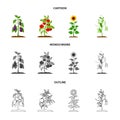 Eggplant, tomato, sunflower and peas.Plant set collection icons in cartoon,outline,monochrome style vector symbol stock Royalty Free Stock Photo