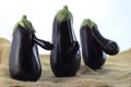 Eggplant trio Royalty Free Stock Photo