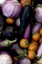 Eggplant Varieties Royalty Free Stock Photo
