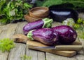 Eggplant varieties in black bowl over dark slate background Royalty Free Stock Photo