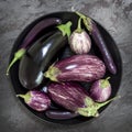 Eggplant Varieties in Black Bowl on Slate Overhead View Royalty Free Stock Photo