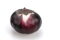 Eggplant varieties Helios. Nightshade. On a white background, isolated Royalty Free Stock Photo
