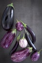 Eggplant Varieties on Slate Overhead View Royalty Free Stock Photo