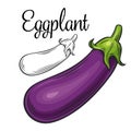 Eggplant vector drawing icon