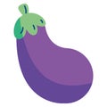 Flat Style Eggplant Vector Illustration Royalty Free Stock Photo