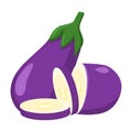 Eggplant vector.Fresh eggplant illustration.Brinjal vector illus