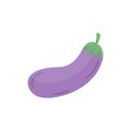 Eggplant vector illustration graphic icon