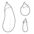 Eggplant Vector Illustration Hand Drawn Vegetable Cartoon Art Royalty Free Stock Photo