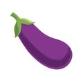 Eggplant. Vector illustration.