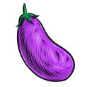 Eggplant vegetable cartoon vector