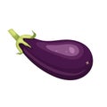 eggplant vegetable cartoon vector illustration