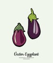 Eggplant vegetable groceries vintage vector. Hand drawn isolated fresh purple aubergine. Food line hand drawn