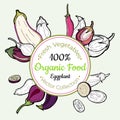 Eggplant vegetable groceries vintage vector sticker, poster, label template. Hipster fresh food hand drawn illustration