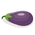 Eggplant vegetable icon isolated on white background. Vector illustration Royalty Free Stock Photo