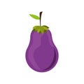 Eggplant vegetable icon