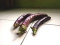 Eggplant vegetables from tropical countries