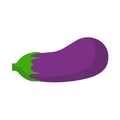 Eggplant vegetarian nature ripe ingredient violet. Flat food vector icon isolated. Vegetable farm plant agriculture