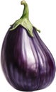 Eggplant, Watercolor painting of Eggplant. AI-Generated. Royalty Free Stock Photo
