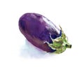 Eggplant