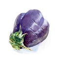 Eggplant