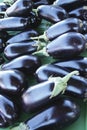 Eggplants Royalty Free Stock Photo